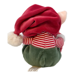 Lade das Bild in den Galerie-Viewer, Ziggy Santas Little Helper - Grün
