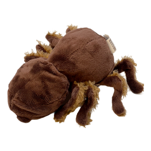 Ziggy Spider