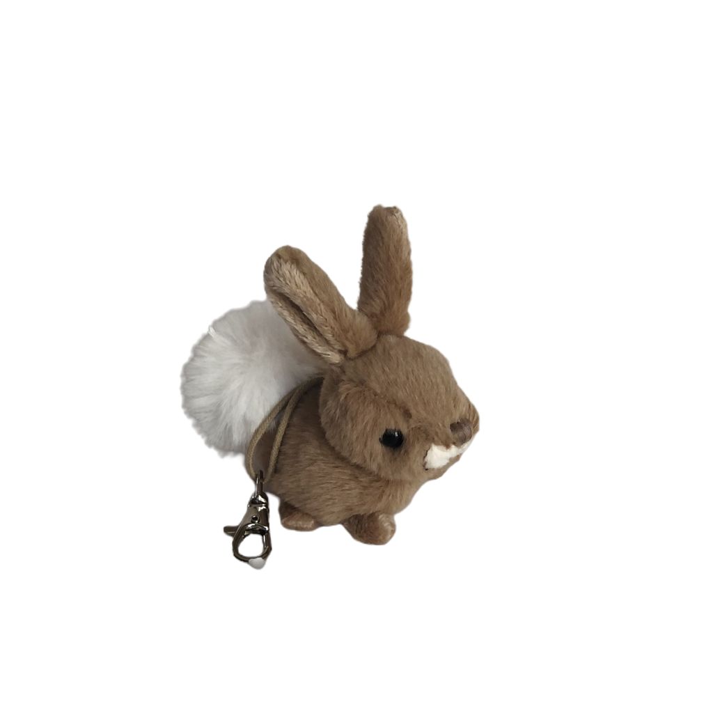 Zeus keychain